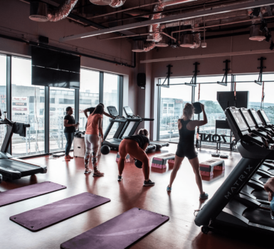 {{brizy_dc_image_alt entityId=