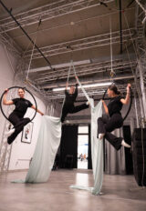 {{brizy_dc_image_alt entityId=